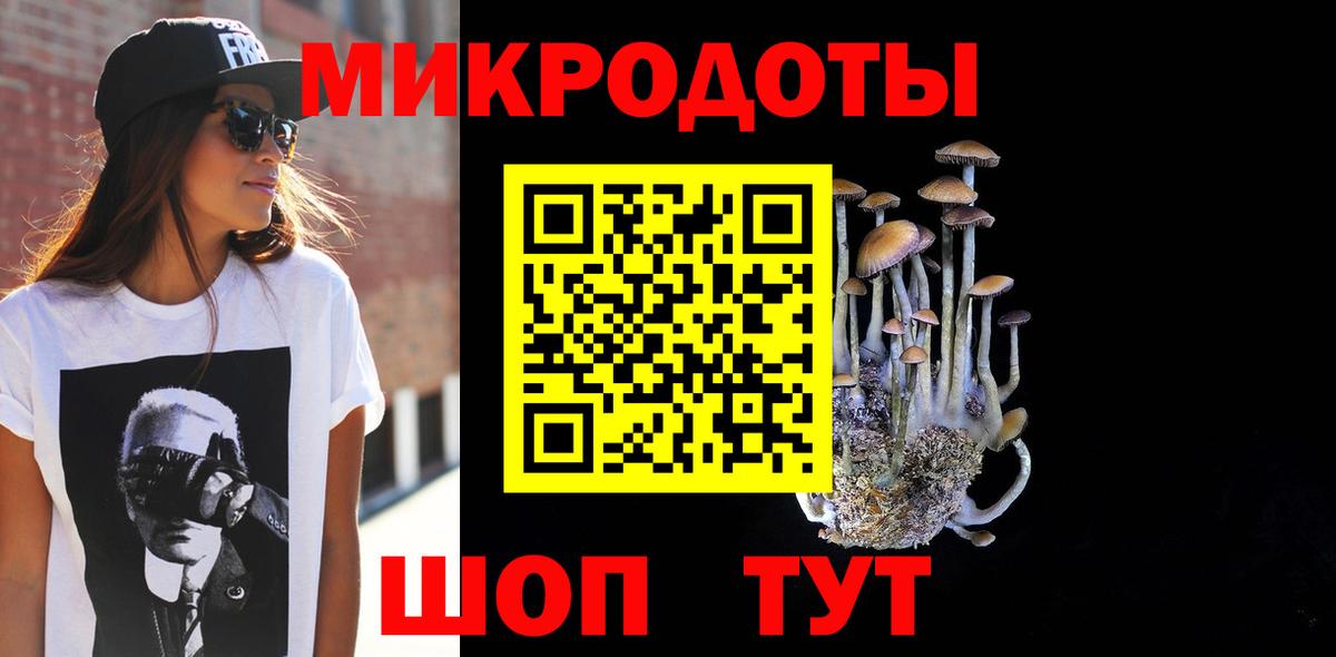 Псилоцибиновые грибы Psilocybine cubensis Майкоп